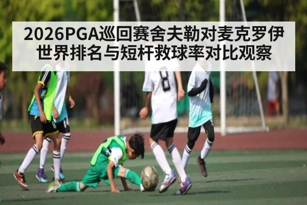 2026PGA巡回赛舍夫勒对麦克罗伊世界排名与短杆救球率对比观察
